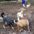 Cabin John Dog Park - Dog Parks