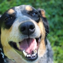 Sequoyah K9 Academy - Colleges & Universities