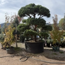 Gardens Maintenance - Gardeners