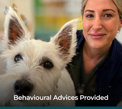 Grange Veterinary Clinic. Behavioural Advices Provided