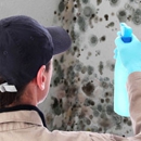 Urista's Carpet Cleaning
