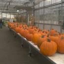 Niagara County Produce - American Restaurants