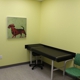 Glasgow Pediatric Healthcare