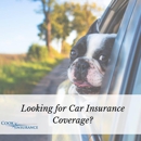 Cook Insurance Inc - Insurance