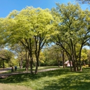 Slawson's Tree Service, Owner George Slawson - Arborists