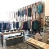 Stella's gallery
