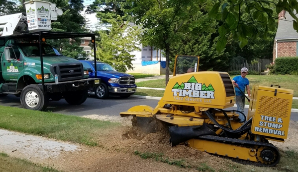 Big Timber Tree Service, LLC - Marlton, NJ. Big Timber Tree Service able to grind any size stump and through a gate into the backyard no problem