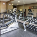 Comfort Suites Hudson I-94 - Motels