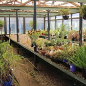 Gallery Image Number 3