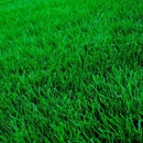 Smoking Lawn Care - Landscaping & Lawn Services