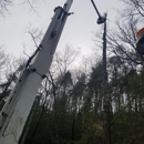 Trees Unlimited - Tree Service