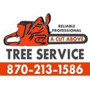 A Cut Above Tree Service MS - Tree Service