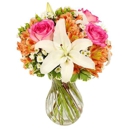 Flower Divas of Montour Falls - Florists