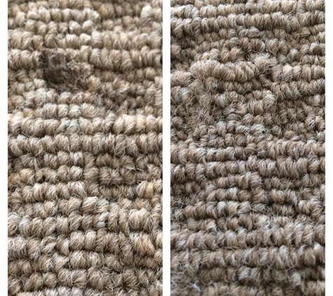 Kombat Carpet Cleaning & Pest Solutions - Quirindi, NSW