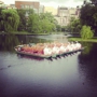 Swan Boats