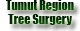 Tumut Region Tree Surgery - Tree & Stump Removal Services