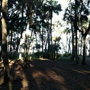 Manatee Hammock Campground