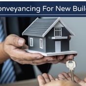 Gallery Image Number 4