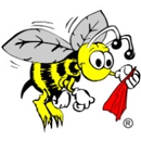 Clean Bee Cleaning & Restoration - Carpet & Rug Cleaners