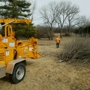 A & M Tree Service & Stump Grinding