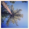Galena Creek Regional Park gallery