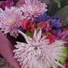 Miss Mamie's gallery