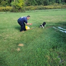 K9 Doodie Patrol - Pet Waste Removal