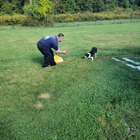K9 Doodie Patrol