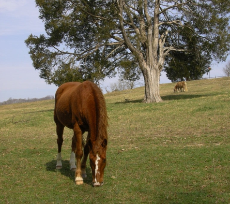 Barefoot Hoof Care - Woodbury, TN