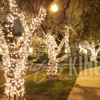 Christmas King Light Install Pros Laguna Niguel gallery