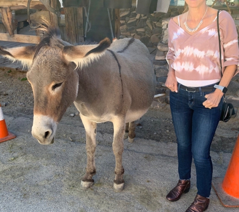 Oatman Hotel - Oatman, AZ