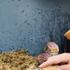 Country Side Pest Control gallery