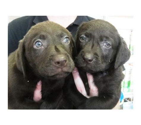 Select Pets Bicton - East Fremantle, WA
