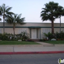 Procare Tree Service - Tree Service