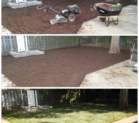 Danshap Landscaping - Vancouver, WA