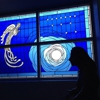 St Francis of Assisi Parish gallery