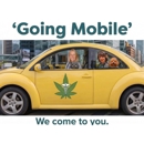 KFM MD - Karen Monroe MD - Medical Marijuana Certifications - Medical Clinics