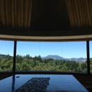 Vineyard 7 & 8 - Wineries