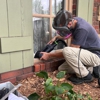 Preservan Wood Rot Repairs gallery