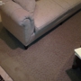 Annandale Carpet Cleaning