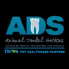 Animal Dental Services gallery