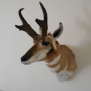 Golden Ridge Taxidermy - Taxidermists