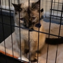 Monticello Veterinary Practice