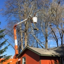 Autumn Tree Service Inc - Tree Service