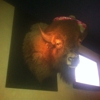 Q BBQ & Tequila gallery