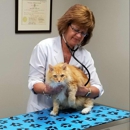 Fort Henry Animal Hospital - Veterinarians