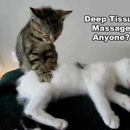 Trillium Massage - Massage Therapists