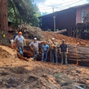Green Tree Service - Tree Service