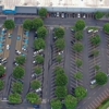 G-FORCE Parking Lot Striping of O'ahu gallery