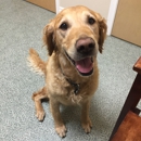 Pleasant Hill Animal Hospital - Veterinary Clinics & Hospitals